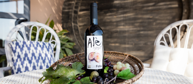 Bodega y agroturismo Mesa y vino de la bodega de Can Feliu